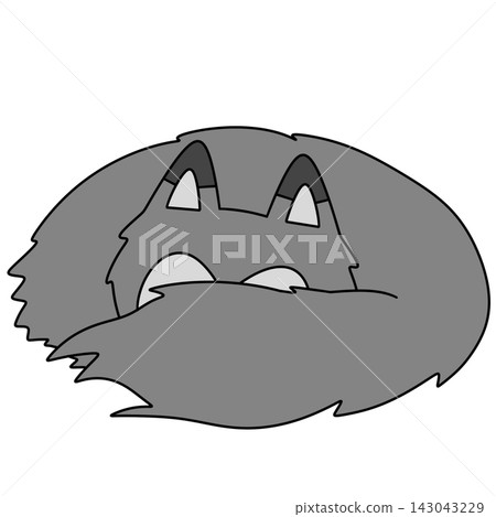 Gray raccoon with wide, curious eyes Gray raccoon with wide, curious eyes 143043229