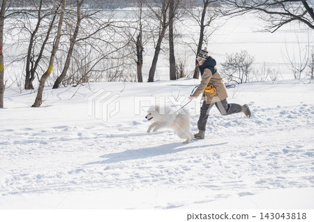 Young woman running with fluffy samoyed dog in snowy winter park. Young woman running with fluffy samoyed dog in snowy winter park. 143043818