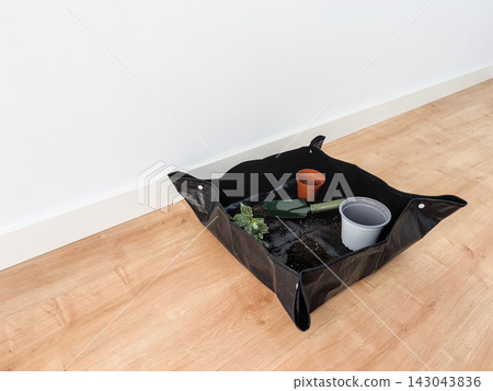 Repotting mat with a fittonia root ball, green trowel, empty nursery pot and new white pot Repotting mat with a fittonia root ball, green trowel, empty nursery pot and new white pot 143043836