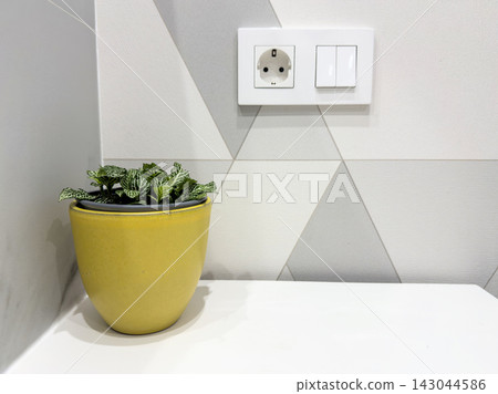 Fittonia in a yellow ceramic pot on a white bathroom shelf with geometric wallpaper and a wall socket Fittonia in a yellow ceramic pot on a white bathroom shelf with geometric wallpaper and a wall socket 143044586