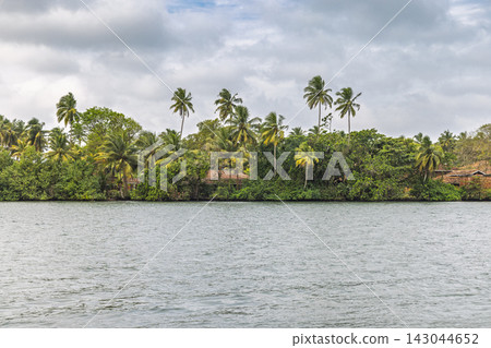 Panoramic view of a tropical river landscape with lush green palm trees and dense foliage stretching along the tranquil water under a cloudy sky. Sri Lanka island in Asia. Panoramic view of a tropical river landscape with lush green palm trees and dense foliage stretching along the tranquil water under a cloudy sky. Sri Lanka island in Asia. 143044652