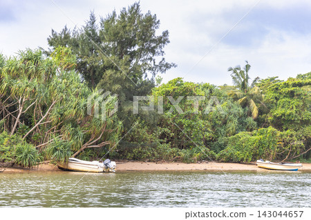 Rustic Boats Rest on a Secluded Tropical Beach Next to Lush Green Foliage Under a Cloudy Sky, Highlighting Peaceful Coastal Life. Bentota River Safari in Sri Lanka, Asia. 143044657