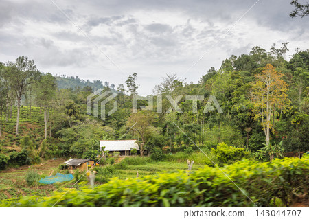 Rustic Dwelling Nestled in Lush Green Hills Amidst Tea Plantations Under a Cloudy Sky. Mountain landscape near Ella town in Sri Lanka island in Asia. Rustic Dwelling Nestled in Lush Green Hills Amidst Tea Plantations Under a Cloudy Sky. Mountain landscape near Ella town in Sri Lanka island in Asia. 143044707