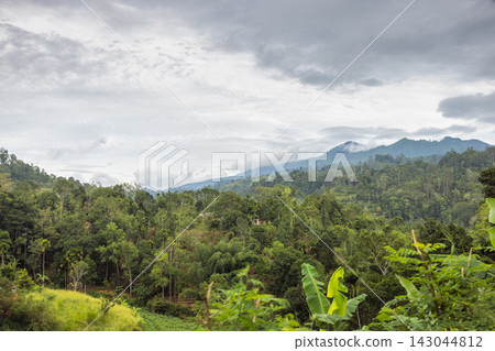 Lush Tropical Mountains and Valleys Under a Dramatic Clouded Sky, Vibrant Green Foliage Landscape View. Mountain landscape near Ella town in Sri Lanka island in Asia. Lush Tropical Mountains and Valleys Under a Dramatic Clouded Sky, Vibrant Green Foliage Landscape View. Mountain landscape near Ella town in Sri Lanka island in Asia. 143044812