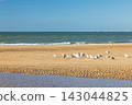 Tranquil Coastal Scene with Seabirds Resting on Golden Sand, Gentle Sea Waves, and Distant Sailboats under Clear Blue Sky. Ostend, a coastal city in Belgium, Europe. 143044825