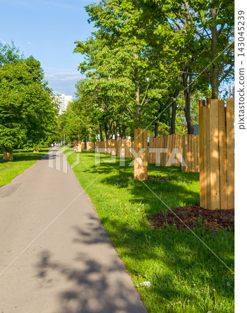 Trees Protected with Wooden Planks along Sidewalk During Urban Construction 143045239