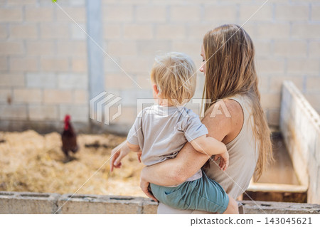 Mother and toddler discover poultry during an educational farm visit. Early childhood learning through animal encounters. Mother and toddler discover poultry during an educational farm visit. Early childhood learning through animal encounters. 143045621