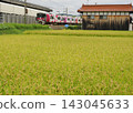 玫瑰之城福山，穿越豐收的金秋時節（227系列ラッピngu列車） 143045633