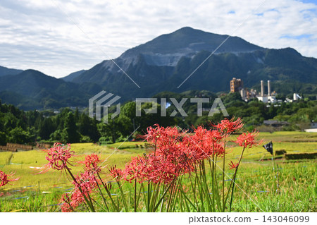 Higankyana和Mt. Higankyana和Mt. 143046099