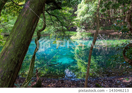 Maruike Pond in Yuza Town, Yamagata Prefecture, shines with an emerald green hue. Maruike Pond in Yuza Town, Yamagata Prefecture, shines with an emerald green hue. 143046213