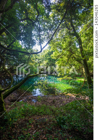 Maruike Pond in Yuza Town, Yamagata Prefecture, shines with an emerald green hue. Maruike Pond in Yuza Town, Yamagata Prefecture, shines with an emerald green hue. 143046265