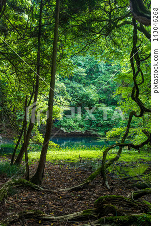 Maruike Pond in Yuza Town, Yamagata Prefecture, shines with an emerald green hue. Maruike Pond in Yuza Town, Yamagata Prefecture, shines with an emerald green hue. 143046268