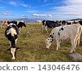 Utsukushigahara Plateau (Nagano Prefecture) 143046476
