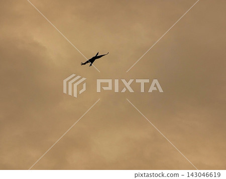 鸕鶿 鸕鶿 143046619