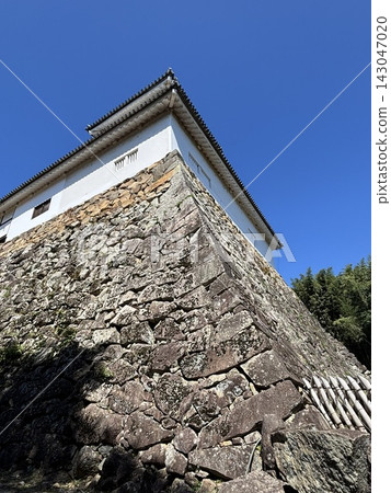 Ishigaki of Hikone Castle Ishigaki of Hikone Castle 143047020