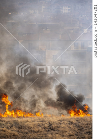 Flames and Smoke Rising from an Urban Grassland Fire. Flames and Smoke Rising from an Urban Grassland Fire. 143047201