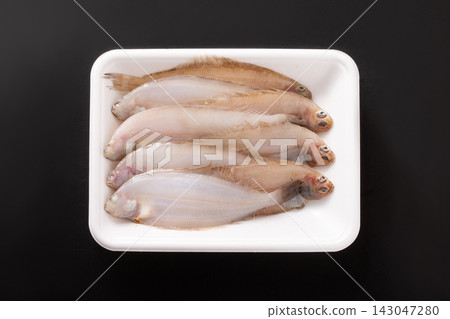 [Miyagi Prefecture] Willow flounder 143047280