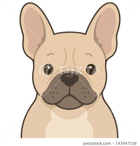 Illustration of french bulldog Illustration of french bulldog 143047326