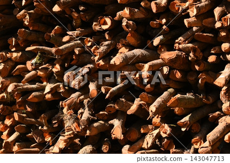pile of wood log in the country home with sunlight, firewood for fuel 143047713