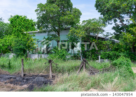 Country house surrounded by lush trees shrubs tall grass natural overgrown garden quiet tropical residential environment 143047954