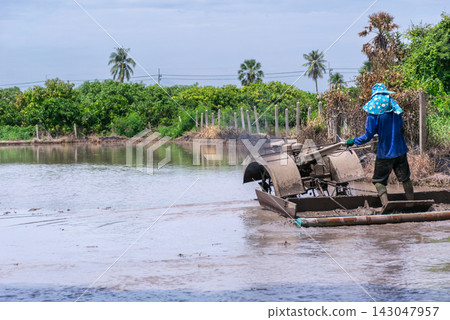 Farmer operates walking tractor across flooded paddy field preparing muddy farmland for rice cultivation rural agricultural landscape 143047957