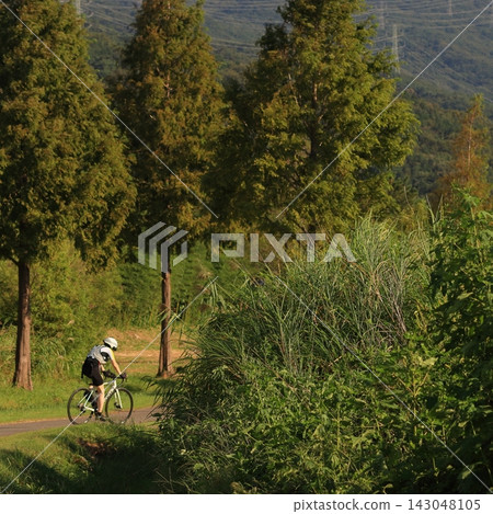 Cyclist Riding Through a Green Landscape Cyclist Riding Through a Green Landscape 143048105