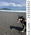 It's the ocean! 143048942