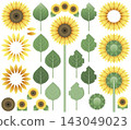 Sunflower and disassembly parts material set 143049023