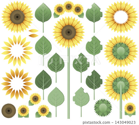 Sunflower and disassembly parts material set Sunflower and disassembly parts material set 143049023