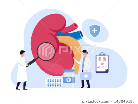 Doctor nephrologist diagnosing kidney stock illustration Doctor nephrologist diagnosing kidney stock illustration 143049193