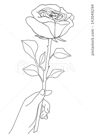A hand holding a single rose (monochrome) A hand holding a single rose (monochrome) 143049294