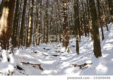 A hiking trail on Mt. Bukō in Chichibu City, Saitama Prefecture, during winter when it is covered in snow. 143049446
