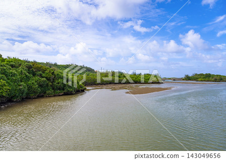 Mangrove forests in Shimajiri, Miyakojima City, Okinawa Prefecture Mangrove forests in Shimajiri, Miyakojima City, Okinawa Prefecture 143049656