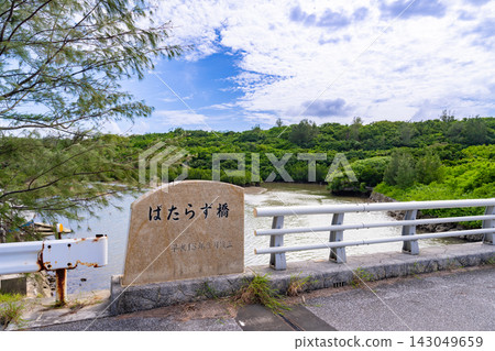 Mangrove forest in Shimajiri, Miyakojima City, Okinawa Prefecture (Batarazu Bridge) Mangrove forest in Shimajiri, Miyakojima City, Okinawa Prefecture (Batarazu Bridge) 143049659