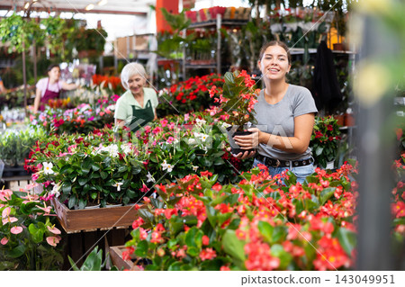 Positive girl buyer chooses pot flowers Begonia big at flower market Positive girl buyer chooses pot flowers Begonia big at flower market 143049951