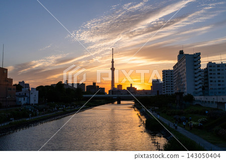 從原中川河濱公園眺望東京晴空塔和日落。 從原中川河濱公園眺望東京晴空塔和日落。 143050404