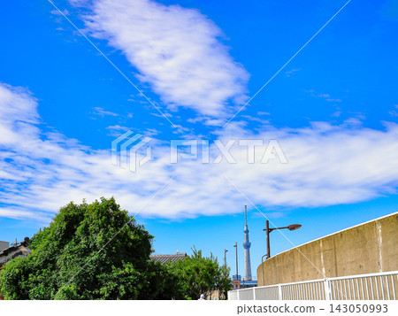 Blue sky and Tokyo Skytree as seen from the Nakagawa pedestrian bridge. Blue sky and Tokyo Skytree as seen from the Nakagawa pedestrian bridge. 143050993