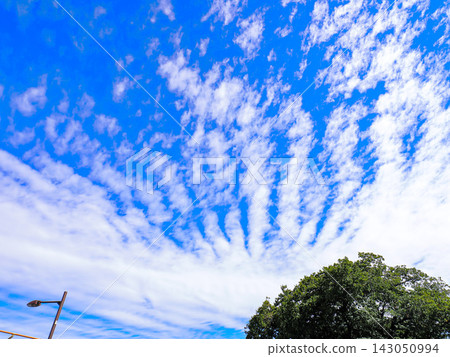 秋天的藍天白雲 秋天的藍天白雲 143050994