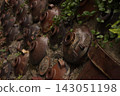 A wall with bottles embedded in it 143051198