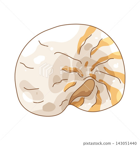 Illustration of spiral shell Illustration of spiral shell 143051440