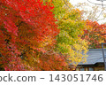 The vibrant gradient of autumn leaves and the tranquil roof of the Japanese-style building 143051746