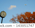 An airplane flying through the autumn sky above the clock tower and the trees with their changing leaves in Yoyogi Park. 143051747