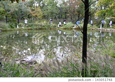 In October, a pond in the Forest of Tranquility at the Osaka-Kansai Expo site. In October, a pond in the Forest of Tranquility at the Osaka-Kansai Expo site. 143051748