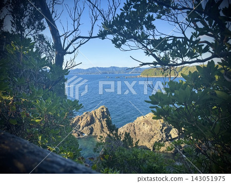 從樹叢間望去,可以看到湛藍的大海和嶙峋的岩石地形。 從樹叢間望去,可以看到湛藍的大海和嶙峋的岩石地形。 143051975