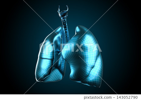 3D Model of Human Lungs in Blue Wireframe Design 3D Model of Human Lungs in Blue Wireframe Design 143052790