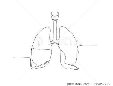Minimalist Line Drawing of Human Lungs Minimalist Line Drawing of Human Lungs 143052799