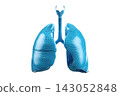 3D Model of Human Lungs in Blue Wireframe Design 143052848