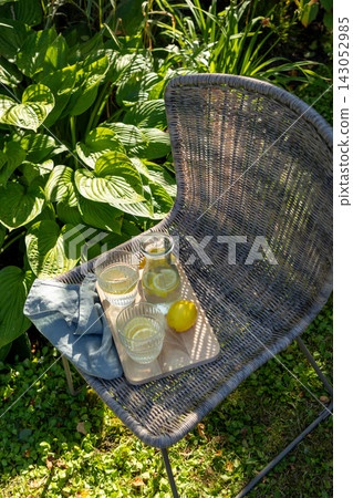 Refreshing Lemon Water on Wooden Tray in Sunny Summer Garden Refreshing Lemon Water on Wooden Tray in Sunny Summer Garden 143052985