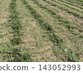 Grass cutting on idle/abandoned farmland 01 143052993
