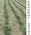 Idle land/abandoned farmland grass cutting 02 143053004